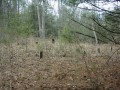 White Family Cemetery 2 * 2272 x 1704 * (568KB)